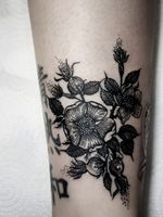 Instagram: @olga_tattoos E-mail: Olgamdtattoos@gmail.com #dogrose#rosehip#dogrosetattoo#rose#wildrose#flowertattoo #london#londontattoos#shoreditch#customdesign#customtattoos#bw#blackink#blscktattoos#tattoo#tattoos#tattooed#tattooers#blackwork#blackink#blackworkers#blackworkers_tattoo#ttt#tttism#ldnttt#london#ink#londontattoos#uktattooers#blacktattoos#blackandgrey#blackandgreytattoos#realistictattoo#art#blackandgreytattoos#posTTT#loveiTTT 
