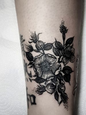 Instagram: @olga_tattoosE-mail:         Olgamdtattoos@gmail.com #dogrose#rosehip#dogrosetattoo#rose#wildrose#flowertattoo#london#londontattoos#shoreditch#customdesign#customtattoos#bw#blackink#blscktattoos#tattoo#tattoos#tattooed#tattooers#blackwork#blackink#blackworkers#blackworkers_tattoo#ttt#tttism#ldnttt#london#ink#londontattoos#uktattooers#blacktattoos#blackandgrey#blackandgreytattoos#realistictattoo#art#blackandgreytattoos#posTTT#loveiTTT 