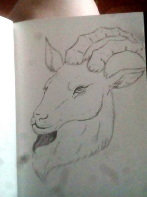 #tattooart #sketch #pet #dark #goat #goattattoo 