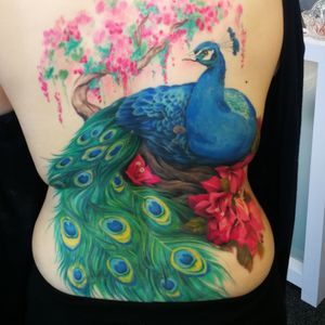 Coverup peacock and bougainvillea tree