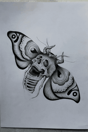 #skullmoth #drawing #byMe #inspiration #pencil #draw #skull #realistic 