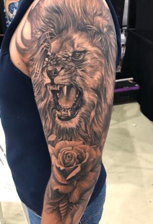 Furios lion with a beatyful rose and sheeds