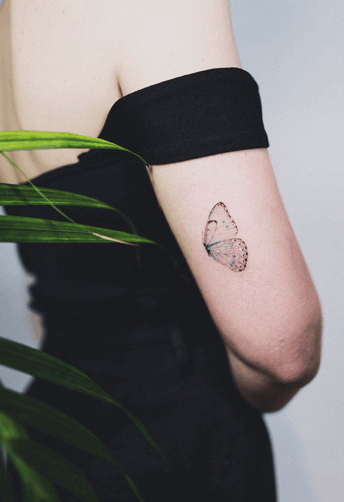 Half butterfly