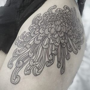 Tattoo by Hanna Sandstrom #HannaSandstrom #lineworktattoos #Linework #illustrative #Japanese #flowers #floral #chrysanthemum #nature #plant