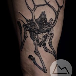 Tattoo by Landon Morgan #LandonMorgan #lineworktattoos #linework #illustrative #skeleton #skull #death #deer #antlers #bones #animal #darkart