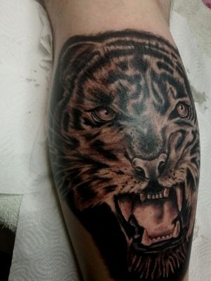 #tiger #tigertattoo #tattooart #blackandgreytattoo #kimiink #serbia #sabac