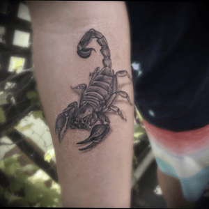 King Scorpion tattoo in Black and Grey! #blackandgrey #scorpiontattoo #scorpion #realism #lagunabeach #insecttattoo #insecttattoos #blackandgreytattoo #blackAndWhite #scorpio #scorpions 