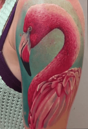 Flamingo realistic color tattoo work on arm by Joe (Töröktattooart) at tattoo anansi munich germany