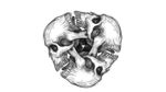 Infinite skull 💀 #skulltattoo #skulls #infinity #infinite Designs by Alex Velazquez @x2creator