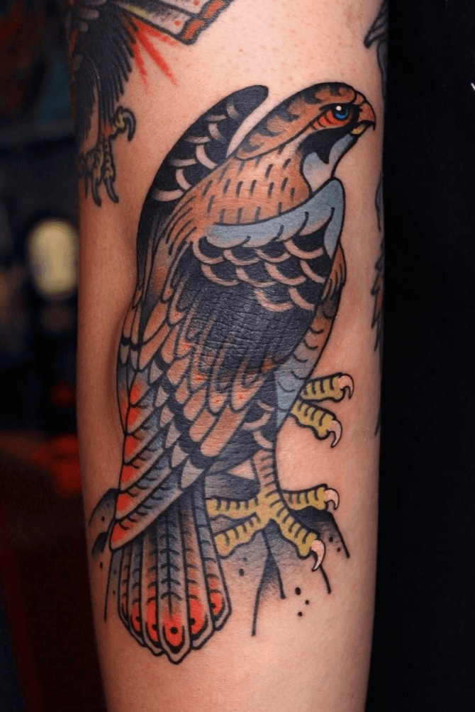 falcon in Tattoos  Search in 13M Tattoos Now  Tattoodo