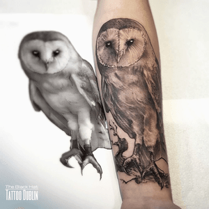 For realism, we are proud to have ones of the best tattoo artists in Ireland in our studio in Dublin. Big or small tattoo ideas, they are up to anything you can imagine and the result is always breathtaking..#tattoodublin #realistic #tattoodo #owltattoo #inkstinctsubmission #dublin #tattooist #realismtattoo 