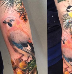 nature & birds sleeve in progress by Brigi