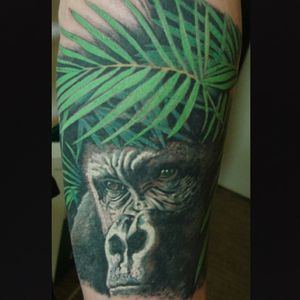 #tattoo #tattooart #tattooartist #gorilla #jungle #realistic #realism #tattoolove #fkirons #painarttattoo