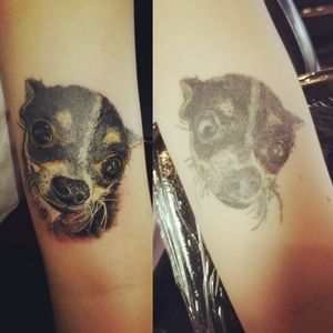 After and before Cover up tattoo #tattoounion #inkedmag #skinart #chicagotattoo #CoverUpTattoos #dogportrait #inked #ink #inkedgirl #chicagotattooartists #horifong 