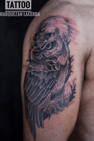 Tattoo coruja  blackandgrey 