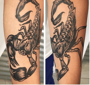 #scorpion tattoo 