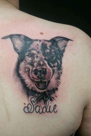 My baby Sadie, the day it was done