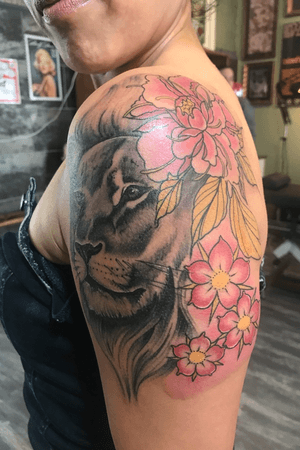 Lion with cherry blossems 