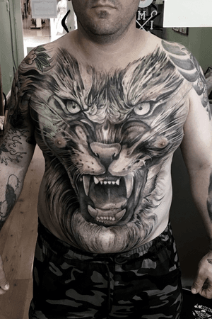Agressive tiger! By Matias Ferre