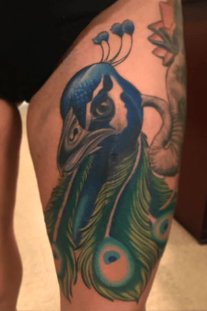 Freehand peacock covering scars