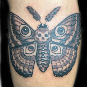 Deadhead moth #blackandgrey #moth #losangeles #neotraditional #tattoooftheday 
