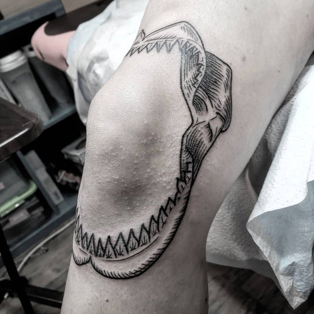 dawidmpiprek A shark jaw for Rikes elbow  BERLIN Booking   se berlin tattoo tat  Tatuaje de diente Tatuaje rodilla  Brazos tatuados