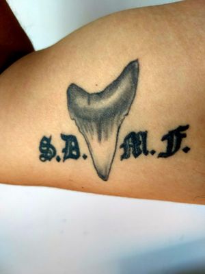 My first tattoo stands for StrengthDeterminationMercilessForeverthe shark tooth represents what I wanted to do, now I'm a shark scientist 