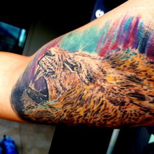 Lion tatto 