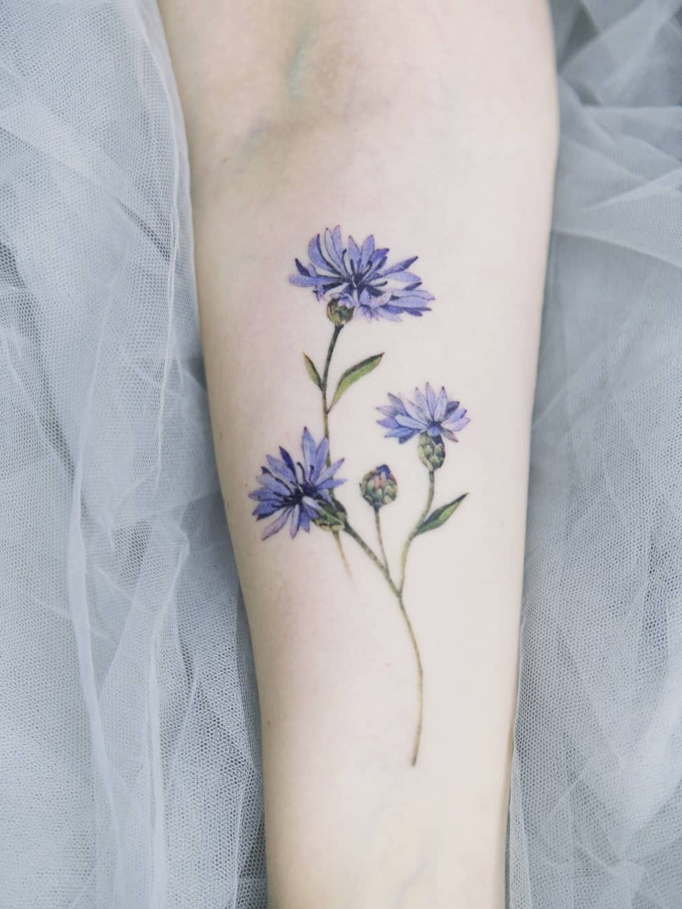 Tattoo uploaded by SION • Cornflower by SION (@tattooistsion) #flowertattoo #floraltattoo #Korea #KoreanArtist #tattooistsion #colortattoo #flower #flowers #oriental #watercolortattoo • Tattoodo
