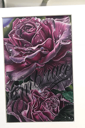 Commissioned rose study 11x17 