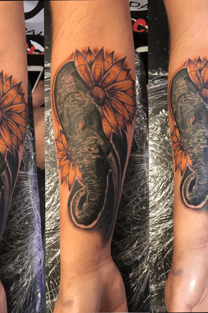 This is first session of a coverup,Elephant with a bad attitude but great intensions which represents my client and her pass that she trying to make better in her life.