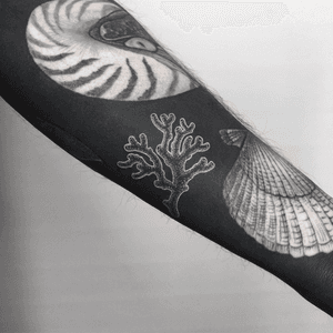 White ink coral on healed black ink. @villeprinsen #villeprinsen #tattoo #tatuering #tatuointi #tatovering #tatuaje #tatuagem #tatouage #tätowierung #blackwork #unikumtattoo #göteborg