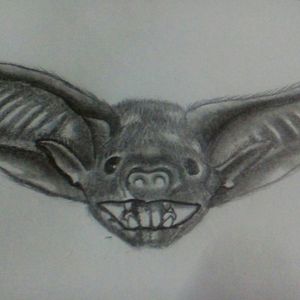 Bat face sketch