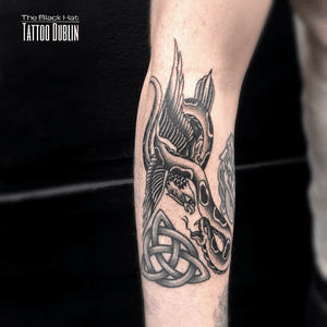 This spontaneous walk ins traditional piece fill Has made both our customer and artist fulfilled. Traditional works make amazing tattoos that are built to last. Also stunning in black and gray! Great one James @j_kennedy_tattoos @theblackhattattoo .#tattoodublin #traditionaltattoo #traditionaltattoos #oldschooltattoo #dublin #tattoist 