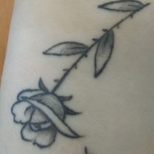 My second tattoo: a rose. The tattoo was done by Uncle_Ben_tattoos. It's a small tattoo studio in Blagnac, France. He also did the owl .