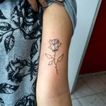 #kiatattoo #tattoo #tatuagem #tatuaje #fineline #finelinetattoo #traçosfinos #tatuagemtraçofino #lines #linework #lineworktattoo #tatuagemrosas #rosas #rosetattoo #roses #tatuagemsp #tatuagemguarulhos #_tattoo_sp #tattooja #tattoo2me #electricink #electricinkpigments #blackcat #blackcatneedles