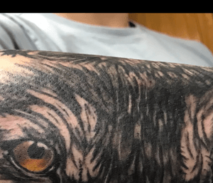 Part 2 wolf eyes forearm piece: got this for my mom when i found out shes going onto hospice so in a way shell always be with me and watching my back also the eye (yellow orange) are her favorite colors