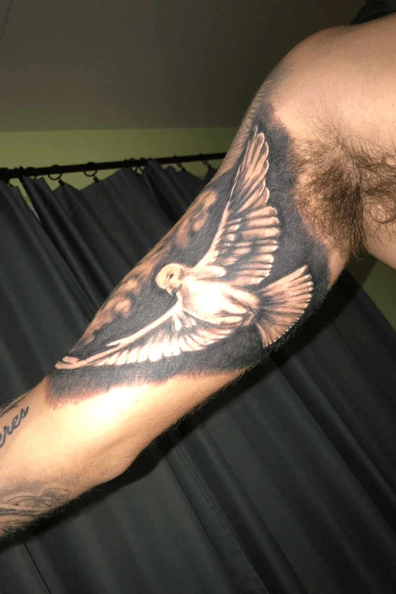 Tattoo uploaded by Josh Hovis • Freehand tattoo of a dove i got on my ...