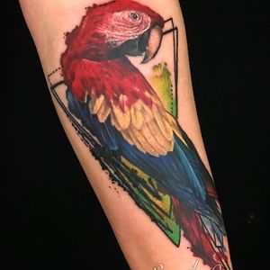 Vibrant watercolor parrot tattoo on forearm, featuring geometric elements. By artist Alex Santo.