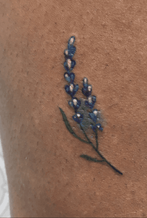 Lavender floral piece in watercolor