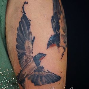 Get a stunning watercolor bird tattoo on your upper arm by the talented artist Alex Santo. Bring your skin to life with vibrant colors and intricate details.