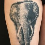 Marvel at the intricate details of this black and gray elephant tattoo expertly done by artist Alex Santo. Perfect for animal lovers!