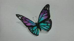 My drawing of a butterfly made by me