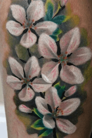 Done by Andrei Costache - Resident Artist @swallowink @iqtattoo #tat #tatt #tattoo #tattoos #tattooart #tattooartist #color #colortattoo #newschool #newschooltattoo #flowers #flowertattoo #ink #inkee #inkedup #inklife #inklovers #art #bergenopzoom #netherlands