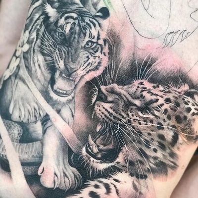Tattoo by Teneile Napoli #TeneileNapoli #GarageInkManor #Australia #blackandgrey #realism #realistic #tiger #junglecat #cat