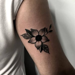 Florzinha da Lu ❤#flower#flowerblack#thpro#neonpen#bold#boldliner#old#oldschool#oldschooltattoo#tattoo2me#blackwork#blackworktattoo#tattoo2us