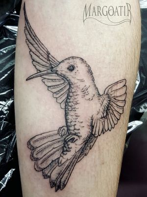 Thin line Hummingbird #amsterdam #amsterdamtattoo #fine #fineline #thinline #tattoo #margoatir