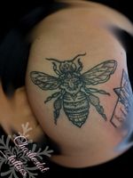 Healed picture of mandala bumble bee. #healedtattoo #tattoo #blackwork #femaletattooartist 