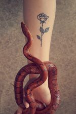 #simple #blackline #rose #snake #forearm #black 