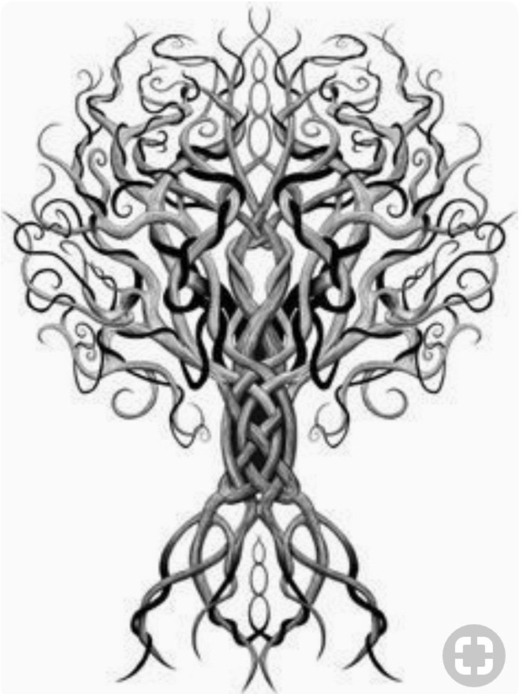 Celtic Tree Of Life Tattoo Designs For Women